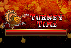 Turkey Time