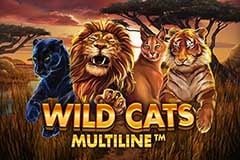 Máquina tragamonedas multilínea Wild Cats