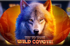 Wild Coyote slot