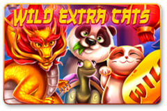 Wild Extra Cats