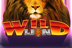 Wild Lion Super Reels