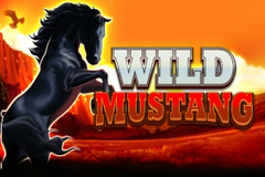 Wild Mustang