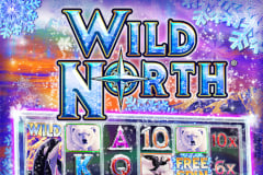 Wild North