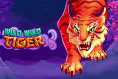 Wild Wild Tiger