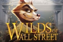 Wilds of Wallstreet