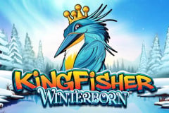 Kingfisher Winterborn