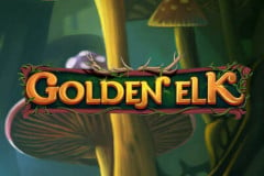 Golden Elk