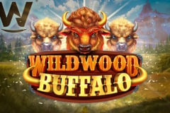 Wildwood Buffalo