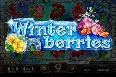 Winterberries