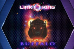 Link King Burning Buffalo