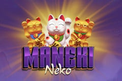 Maneki Neko 243 ways